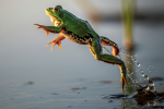 Could the U.S. Be the Frog in the Pot?